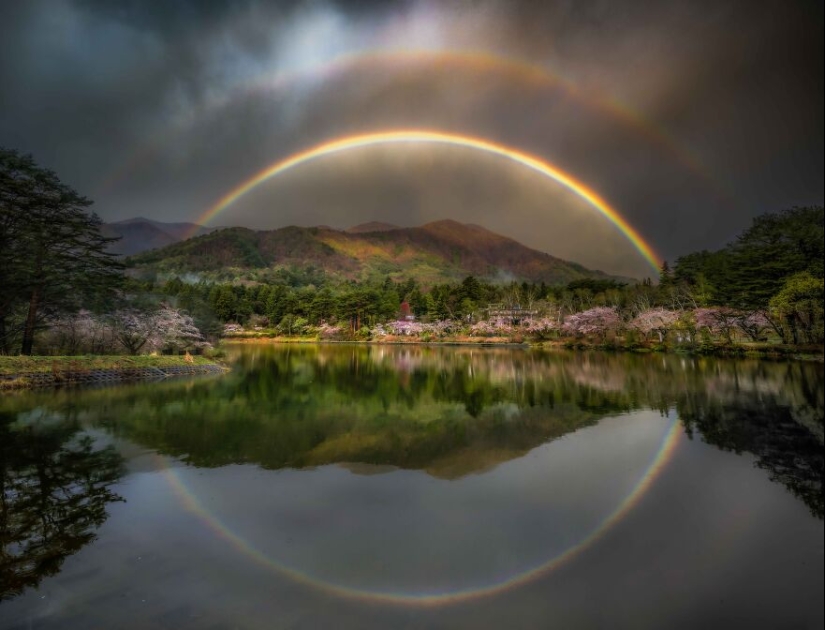 Fotografía de naturaleza: las 22 mejores imágenes de los premios Tokyo International Foto Awards 2023