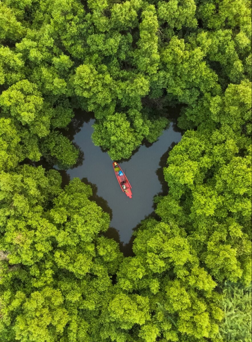 Fotografía de naturaleza: las 22 mejores imágenes de los premios Tokyo International Foto Awards 2023