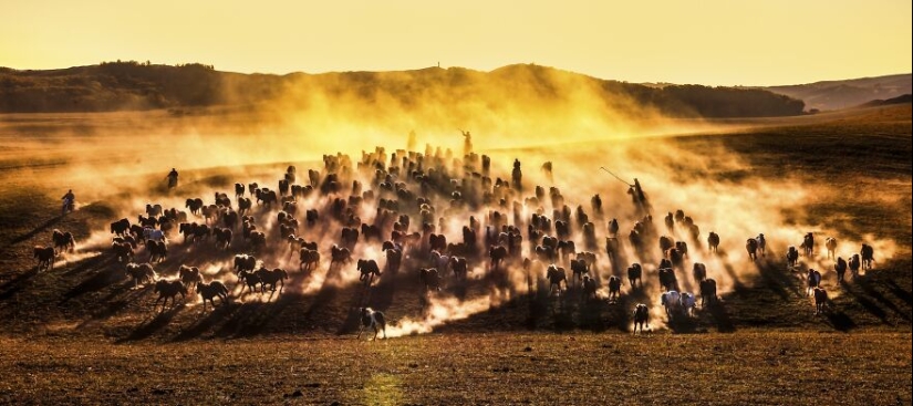 Fotografía de naturaleza: las 22 mejores imágenes de los premios Tokyo International Foto Awards 2023