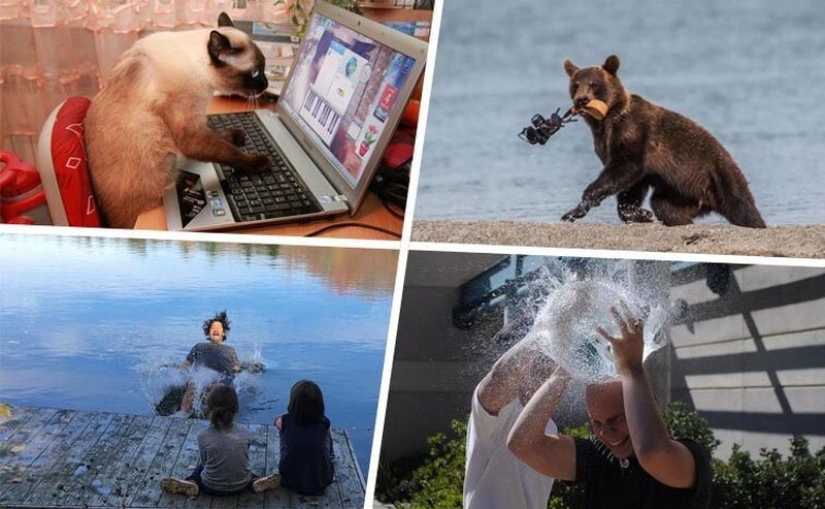 Fotografías de todo lo que va a hacer su día más brillante y tu sonrisa más amplia