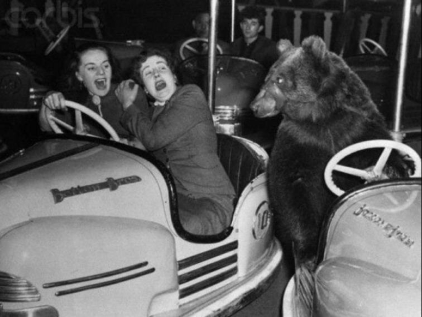 Fotografías de todo lo que va a hacer su día más brillante y tu sonrisa más amplia