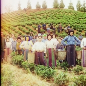 Fotografías en color de mujeres del Imperio ruso a principios del siglo XX