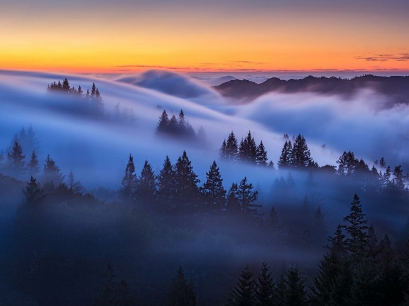 Fotografías irrealmente hermosas de olas... niebla