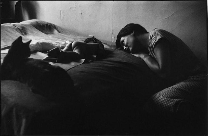 Fotos cálidas y divertidas de Elliot Erwitt