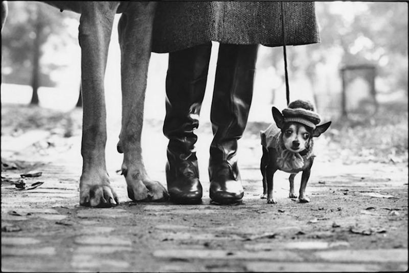 Fotos cálidas y divertidas de Elliot Erwitt