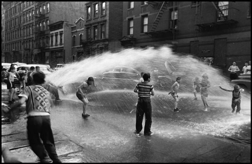 Fotos cálidas y divertidas de Elliot Erwitt