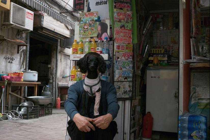 Fotos de la calle por el fotógrafo chino Tao Liu