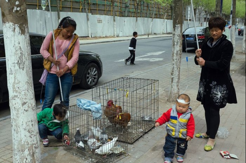 Fotos de la calle por el fotógrafo chino Tao Liu