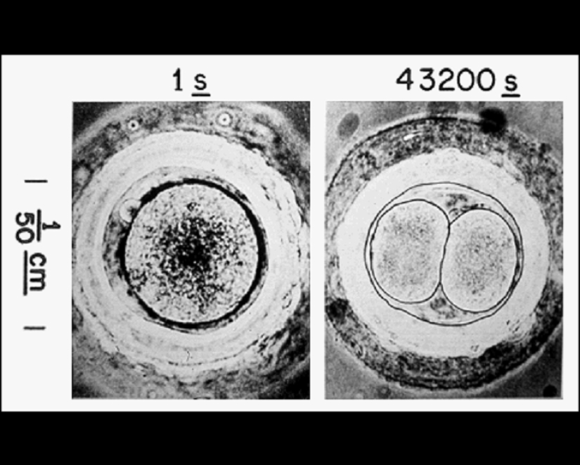 Fotos de la Tierra que los extraterrestres definitivamente deben ver