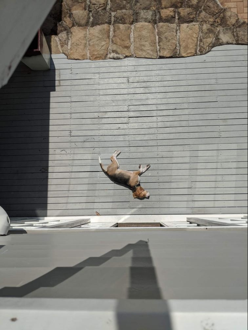 Fotos de una fractura de la perspectiva, que no es lo que piensas