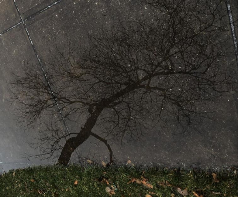 Fotos de una fractura de la perspectiva, que no es lo que piensas