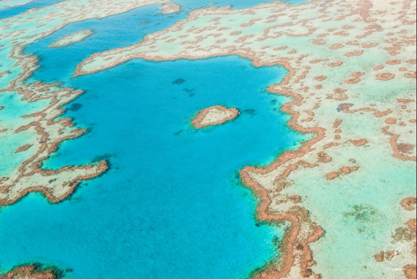 Fotos impresionantes de un viajero que ha viajado más de 40,000 km a través de Australia