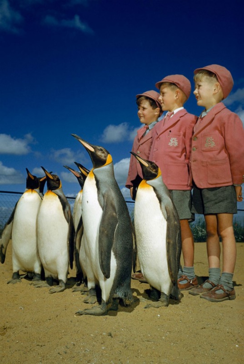 Fotos inéditas de National Geographic