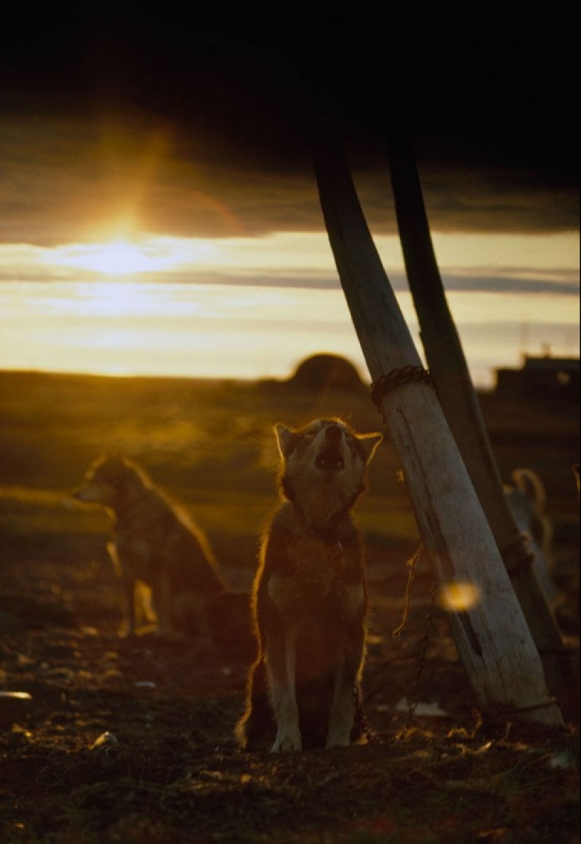 Fotos inéditas de National Geographic