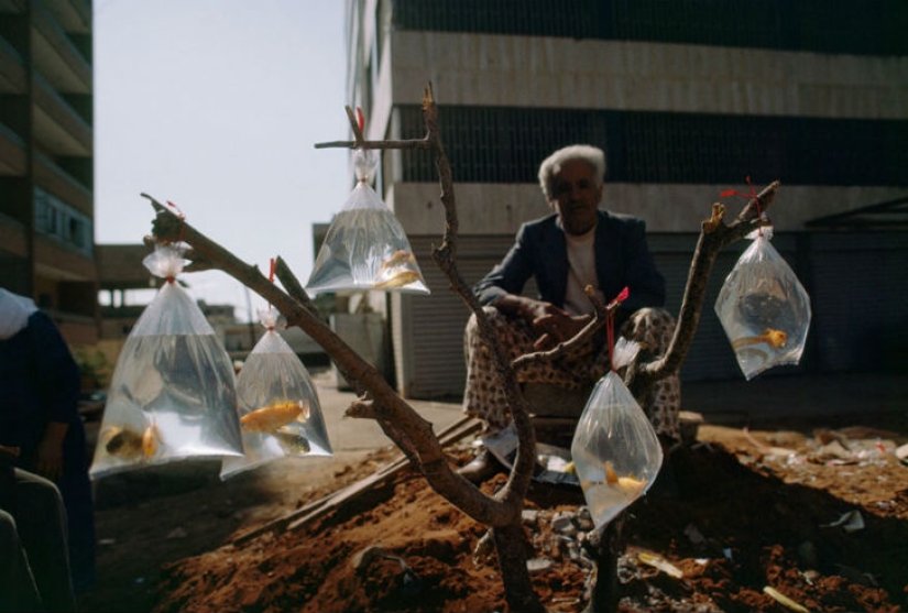 Fotos inéditas de National Geographic