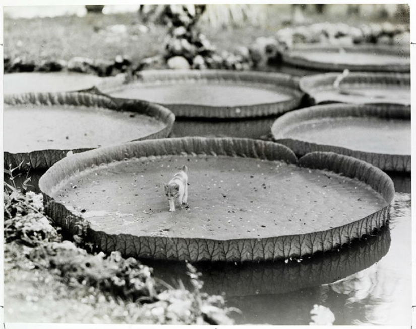 Fotos inéditas de National Geographic