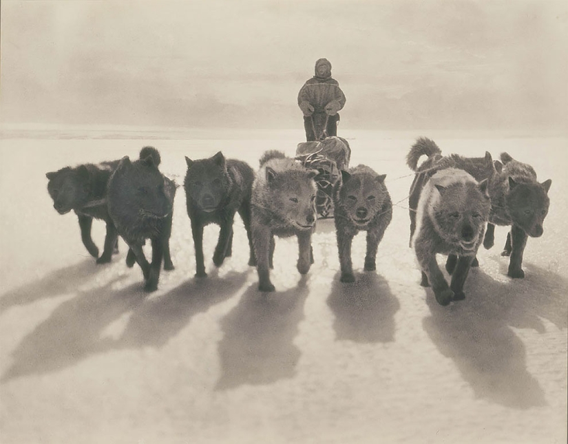 Fotos únicas de la primera Expedición Antártica Australiana de 1911-1914