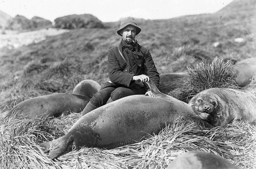 Fotos únicas de la primera Expedición Antártica Australiana de 1911-1914