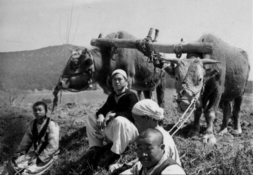 Fotos raras de Corea del Norte a principios del siglo 20