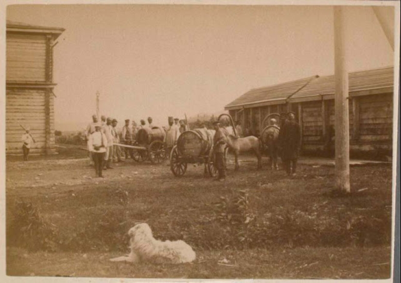 Fotos raras de la vida cotidiana en Sakhalin de finales del siglo XIX - principios del siglo XX