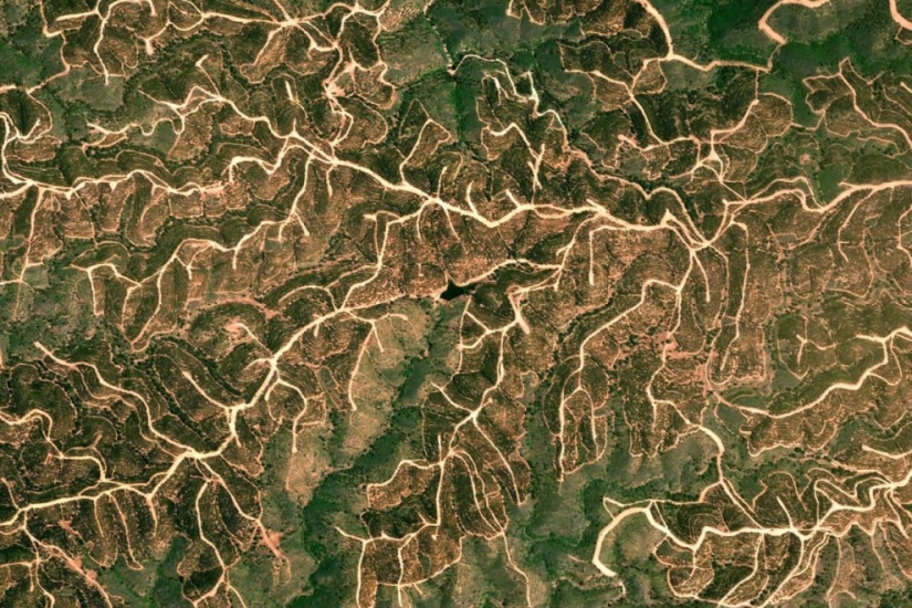 Fractal patterns on the surface of the Earth