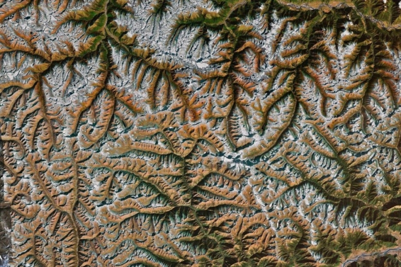 Fractal patterns on the surface of the Earth