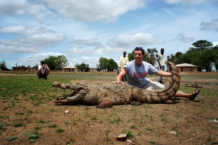 Friendly Crocodiles Pagi