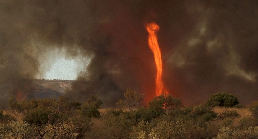 Frightening wonders of nature: What a fire tornado looks like