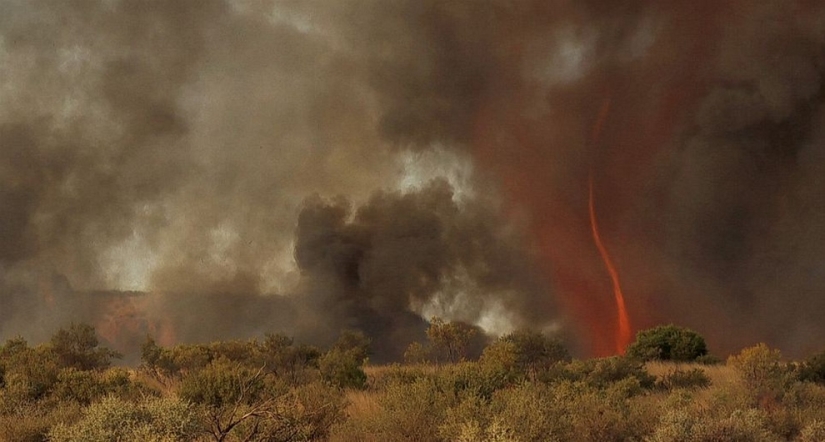 Frightening wonders of nature: What a fire tornado looks like
