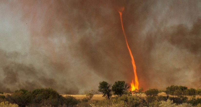 Frightening wonders of nature: What a fire tornado looks like