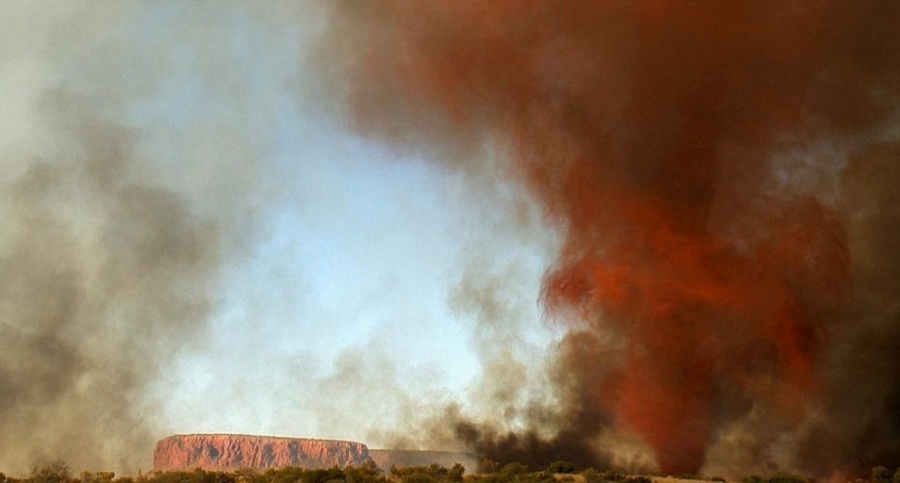 Frightening wonders of nature: What a fire tornado looks like