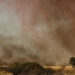 Frightening wonders of nature: What a fire tornado looks like