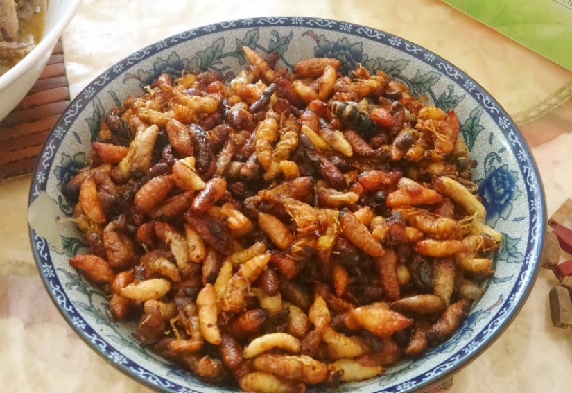 Frito avispas — la delicadeza de la cocina Japonesa