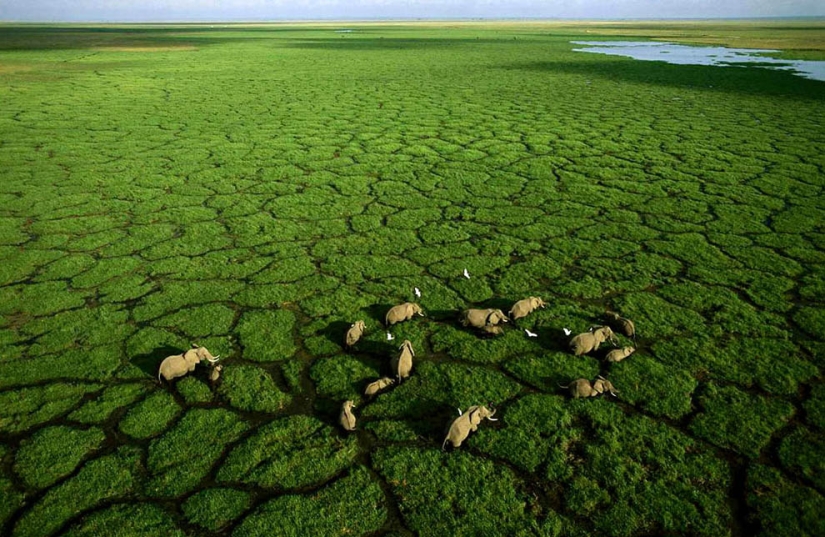 From Above - African Portfolio by Photographer George Steinmetz