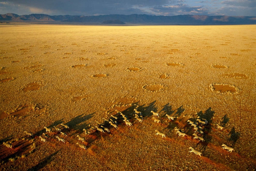 From Above - African Portfolio by Photographer George Steinmetz