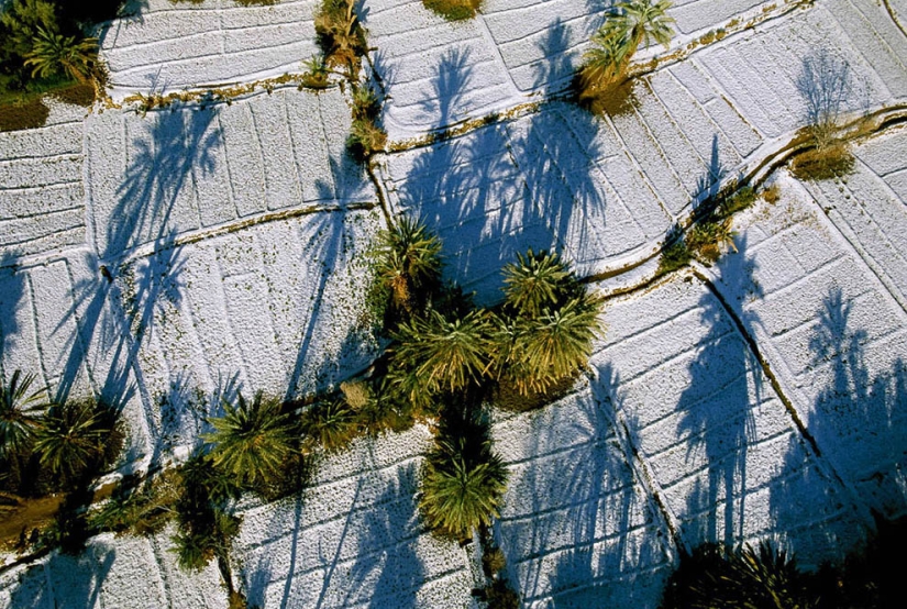 From Above - African Portfolio by Photographer George Steinmetz