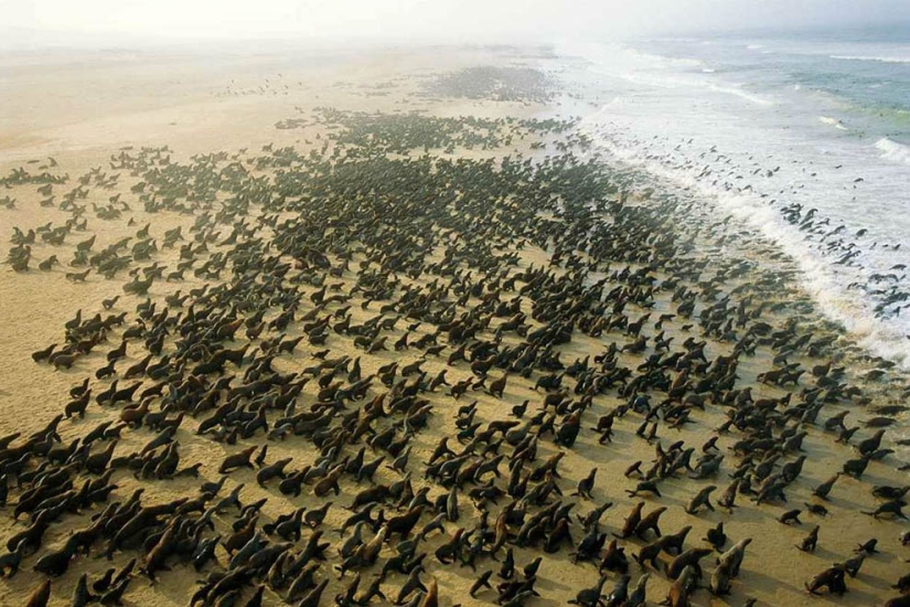 From Above - African Portfolio by Photographer George Steinmetz