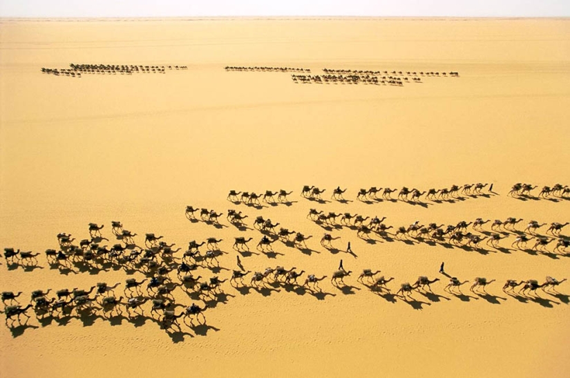 From Above - African Portfolio by Photographer George Steinmetz