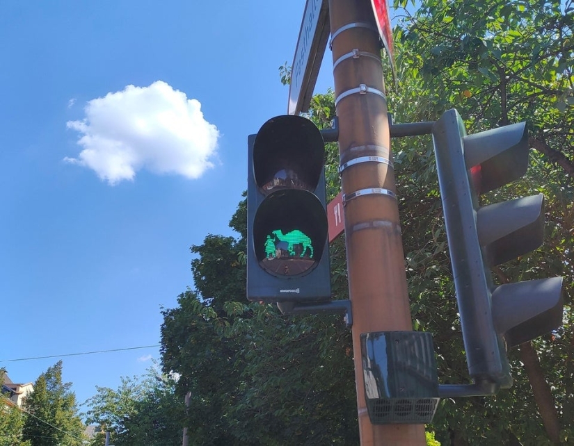 From hearts to Karl Marx: 13 unusual traffic signals from around the world