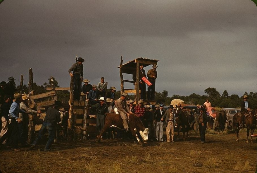 From horses to " Ford»: how the Wild West was "domesticated"