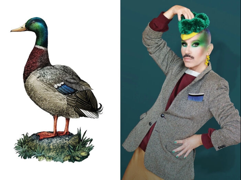 From Velvet Curtains To Wooden Spoons: I Transform Everyday Objects Into Nature Costumes