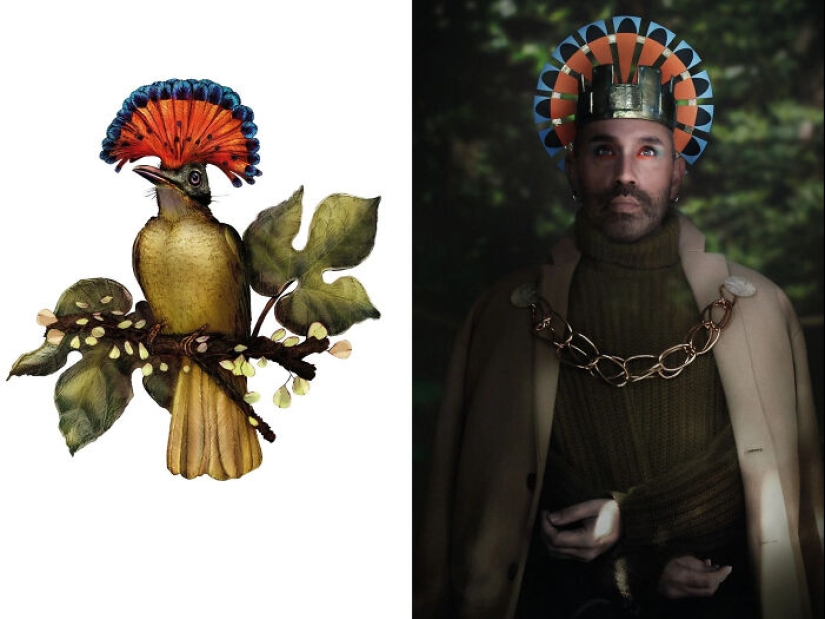 From Velvet Curtains To Wooden Spoons: I Transform Everyday Objects Into Nature Costumes