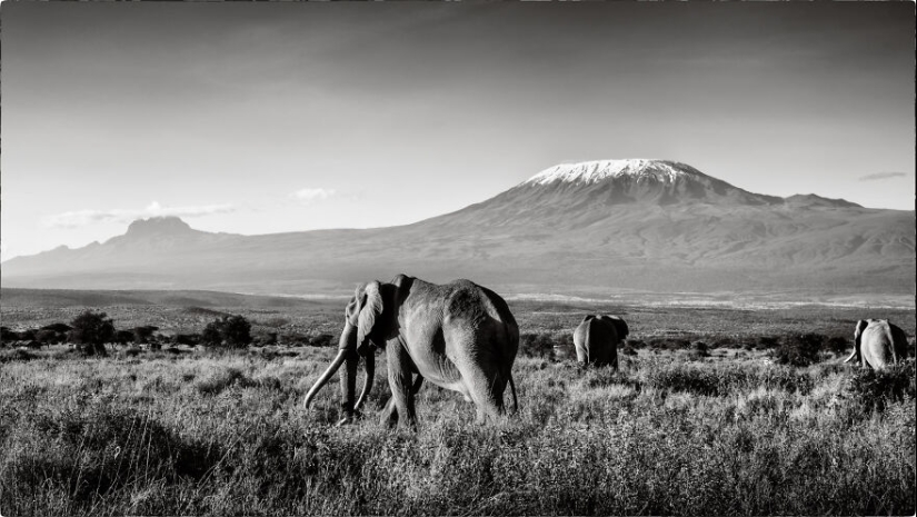 Fui a Kenia en un safari, aquí tienes 21 de las mejores fotos