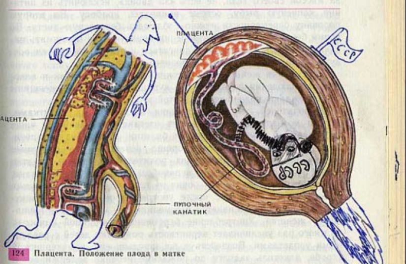 Funny Biology Textbook Takes You Back to 9th Grade