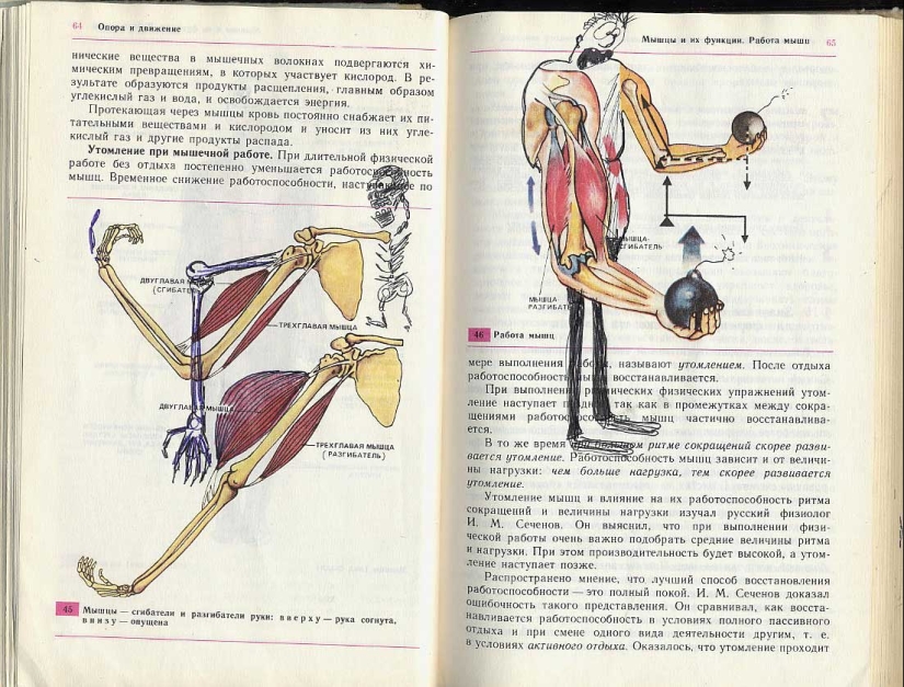 Funny Biology Textbook Takes You Back to 9th Grade