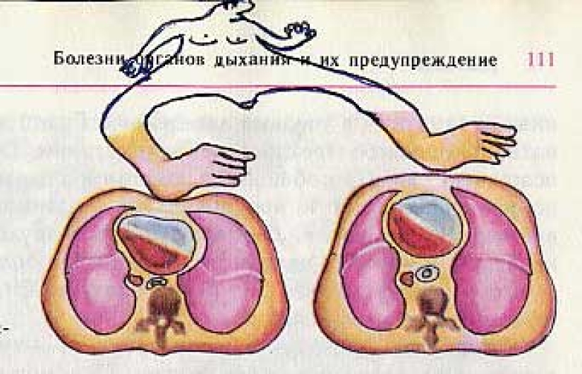 Funny Biology Textbook Takes You Back to 9th Grade