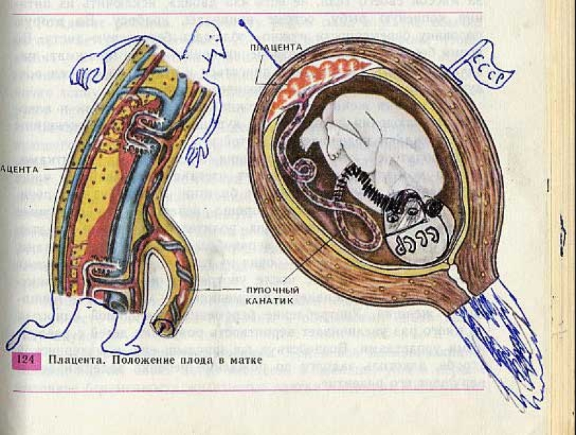 Funny Biology Textbook Takes You Back to 9th Grade