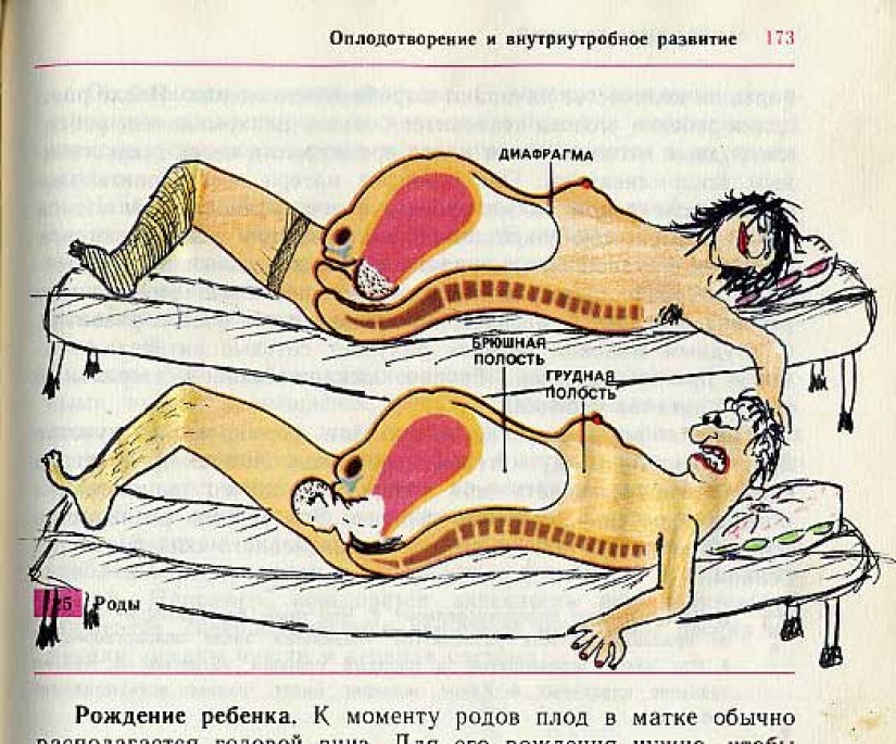 Funny Biology Textbook Takes You Back to 9th Grade