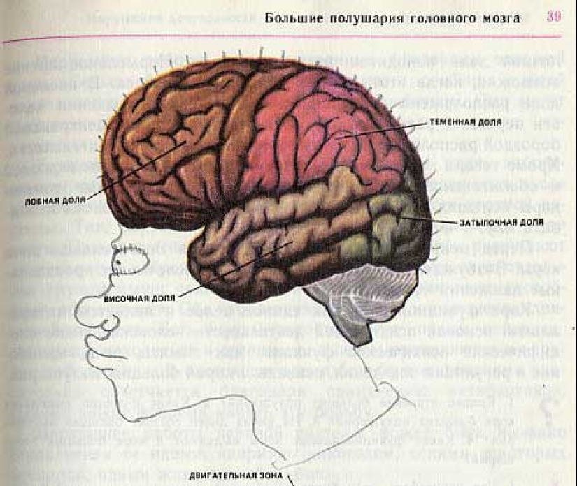 Funny Biology Textbook Takes You Back to 9th Grade