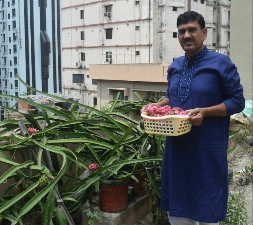 Gardening is cool! 30 best photos from the largest Reddit community for gardeners